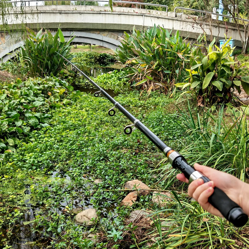 Portable Telescopic Fishing Rod For Carp And Spinning Travel