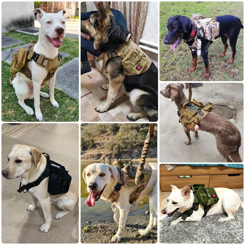 Tactical Dog Harness Leash Set Military Handle For Training